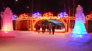 На открытие ёлки в нижнекамском парке «СемьЯ» пришли сотни человек