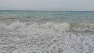 Волонтер из Рязани рассказала об очистке от мазута пляжей Анапы