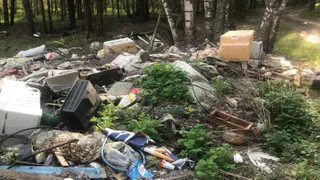 Природоохранная прокуратура выявила свалку ТКО в судогодских лесах