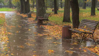 8 ноября в Рязанской области ожидается дождь и +6 градусов