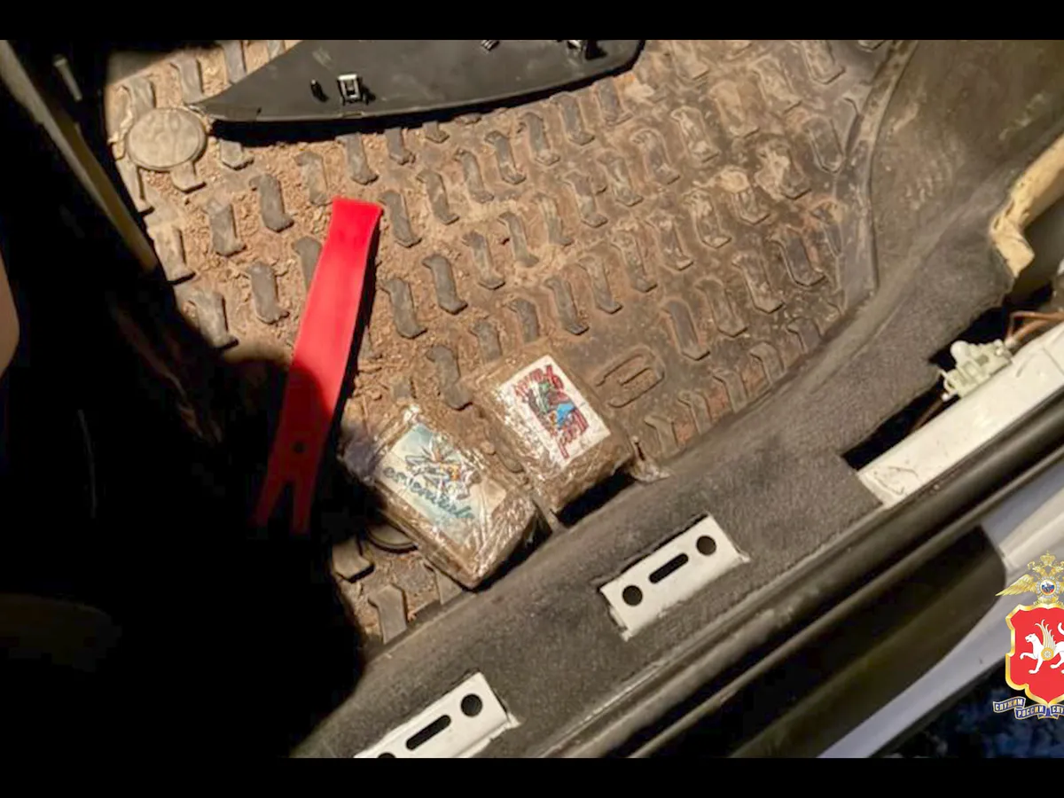 В Набережных Челнах прикрыли наркомаркет: у рецидивиста изъяли почти килограмм гашиша