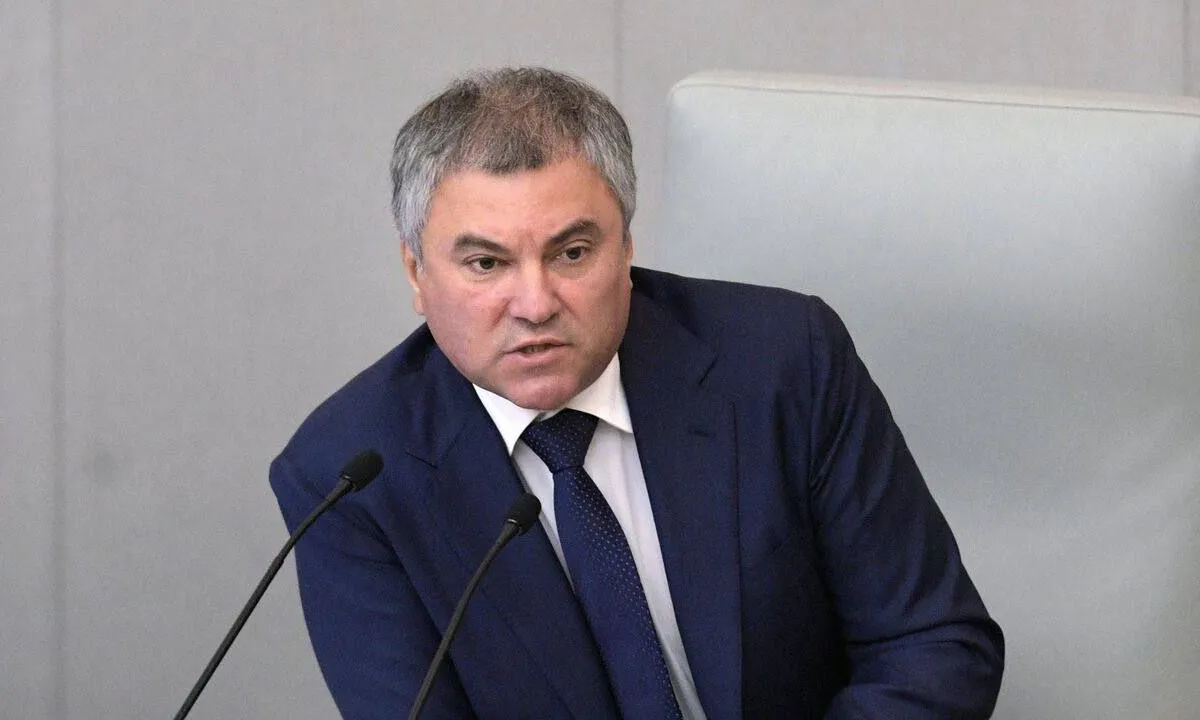 Володин назвал новые причины для лишения российского гражданства