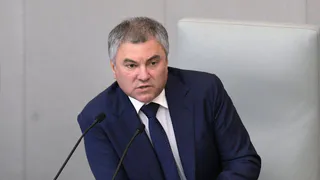 Володин назвал новые причины для лишения российского гражданства
