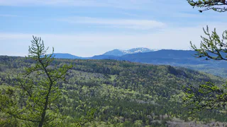 28 августа в Челябинскую область на севере ожидают дожди, а юге осадки обойдут стороной