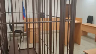 Из-за вредной привычки меленковец получил реальный срок вместо обязательных работ