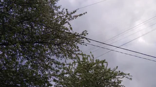 МЧС Рязанской области предупредило об ухудшении погоды 24 октября