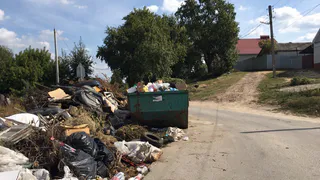 У борковской школы появилась свалка