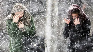 На Брянскую область надвигается метель