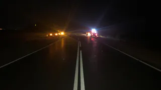 ДТП с лосем: в результате аварии погиб замгендиректора Рязанского радиозавода