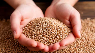 Немецкий фермер объяснил, почему в Европе не едят гречку, а в России она на каждом столе - назвал неочевидную причину