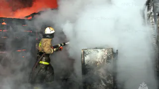 В Рязанской области погибли на пожарах 36 человек в 2024 году