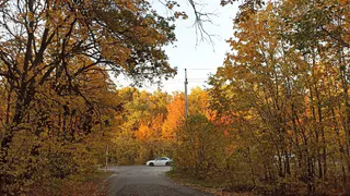 В 2025 году в Спасском районе отремонтируют две важные дороги