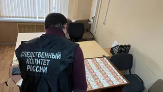 Жительницу Гусь-Хрустального задержали по делу о взятке сотруднику тюремной больницы