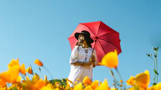 Как рязанцев встретит август: прогноз погоды на новую рабочую неделю