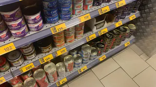 Сардины под прицелом: Роскачество исследовало популярные консервы – какие бренды выдержали экзамен