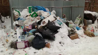 В самом центре города люди «утопают» в мусоре из-за бездействия коммунальщиков