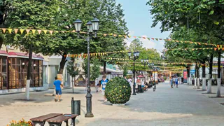 Мэрия просит помощи: Сорокина созывает рязанцев на генуборку города