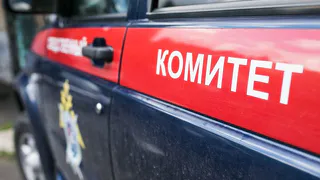 Рязанский СК подтвердил предъявление обвинения рязанским врачам перинатального центра