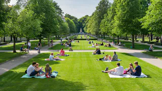 Жителей Нижнекамска приглашают обсудить концепцию парка «Сююмбике»