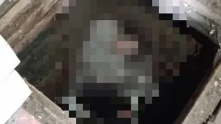 Во Владимирской области обнаружили труп матери двоих детей