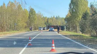 В ДТП с фурой в Касимовском районе скончался водитель легкового автомобиля