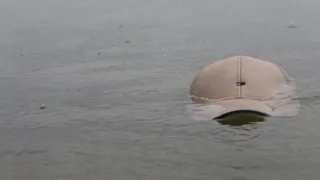 В пруду в Рязанском районе утонул мужчина