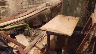 Городские власти начали проверку убежищ