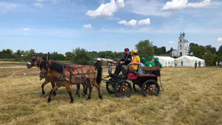 В Юрьев-Польском районе пройдёт Молодёжный форум «Природа не терпит пустоты»