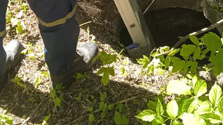 Пензенские спасатели оказали помощь собаке