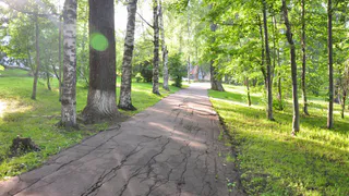 Тепло вернулось: прогноз погоды на рабочую неделю