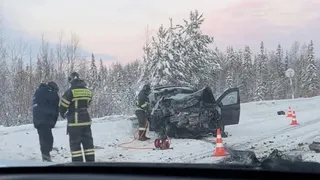 В Коми скорбят по погибшим в ДТП в новогодние праздники матери и дочери