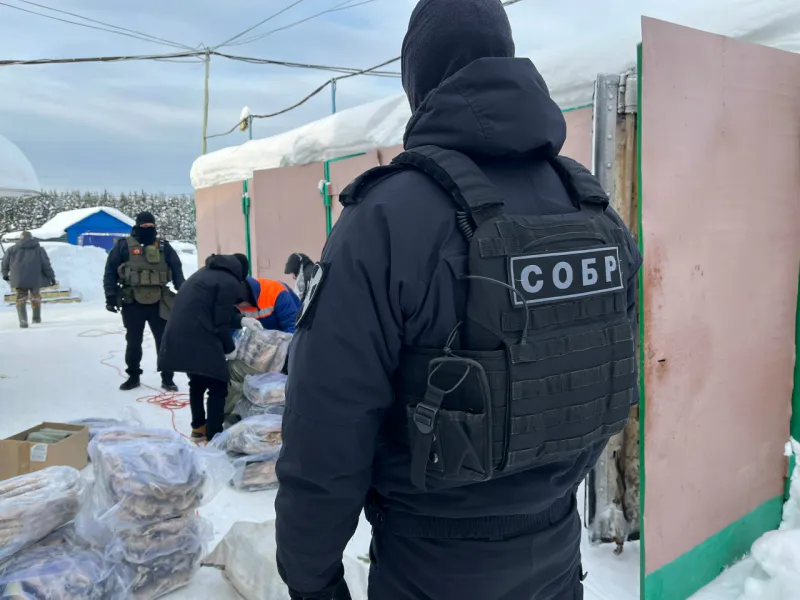 Полиция Сыктывкара изъяла у двух бизнесменов 13 тонн нелегальной рыбы