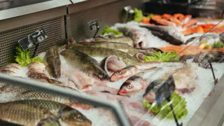 Названа самая полезная рыба - ешьте 2 раза в неделю, богата селеном, фосфором и хороша на вкус