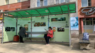 Пенсионеров, у которых есть непрерывный стаж от 3 до 10 лет, ждет сюрприз