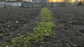 Мощнее любого навоза: кидаем на снежные грядки под конец зимы - весной почва мягче пуха