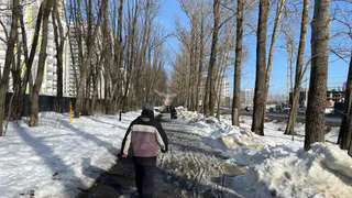 Звёзды укажут путь: материальное благополучие и везение в любви с 25 марта гарантировано 2 знакам