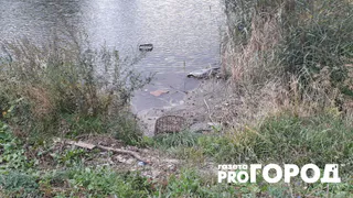 Возле 11-й больницы торговцы загрязняют пруд Серой Шейки