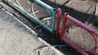 Опасные деревья: нижнекамцам страшно отпускать детей во двор дома 