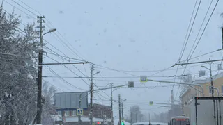 Из-за массовой аварии с фурами под Рязанью перекрыта трасса на Касимов