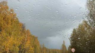 Облачно, временами дождь: какая погода ждет рязанцев на этой неделе