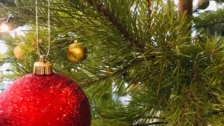 С 21 декабря украшать подъезд к новому году запрещено: за красоту выпишут штраф