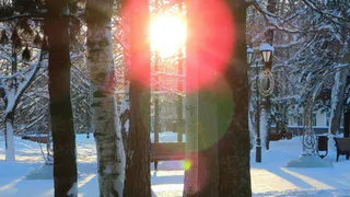 В Челябинской области 20 января ожидается резкое похолодание 