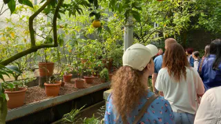 Глоба раскрыл три знака зодиака, которым с 12 апреля суждено пережить весьма успешные дни