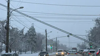 Сколько можно стоять автомобилю на холостом ходу без вреда для ДВС: ответ механика
