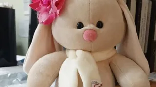 В Сердобске предпринимателя обязали выплатить компенсацию за продажу контрафактной игрушки