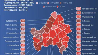 16 брянцев и один иногородний пациент умерли от COVID-19 за сутки