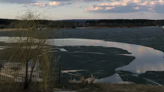 «Источник зловонья - пруд»: специфический запах от водоема на ул. Чернышевского обволок весь город