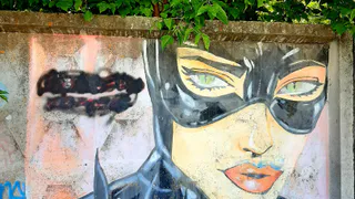 Жители Рязани заметили на бетонном заборе граффити с Женщиной-кошкой и Бэтменом