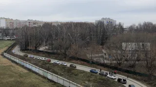 Ночью на улице Крупской неизвестные повредили около 20 автомобилей