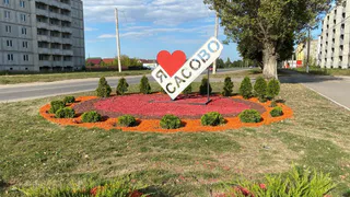 В Рязанской области хотят объединить Сасово и Сасовский район